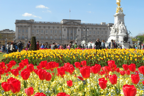 London: Changing of the Guard Walking Tour