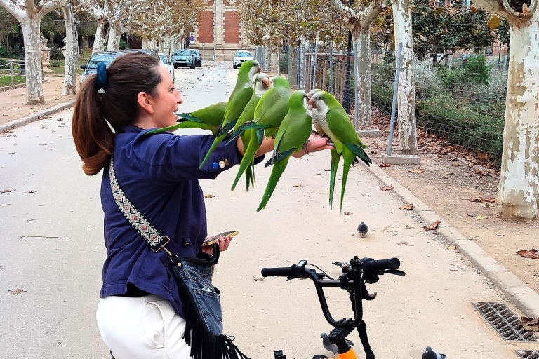 Barcelona: Fietstocht 25-ТOP Barcelona Bezienswaardigheden, Fiets of E-BikePrijs is inclusief: een nieuwe fiets+mand, helm, telefoonhouder