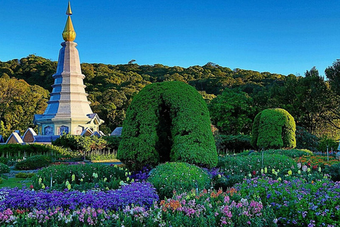 Chiang Mai : Punti salienti del Parco Nazionale Doi Inthanon