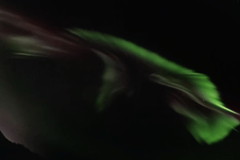 VIP Northern Lights Aurora Chase – Levi, Finnish Lapland