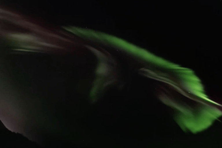 VIP Northern Lights Aurora Chase – Levi, Finnish Lapland