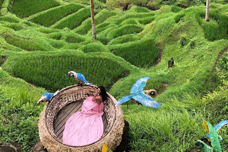 ubud : private tour,atv,rice terrace,waterfalls group of 1-3 person