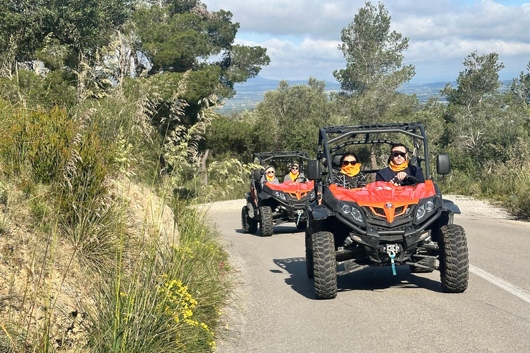 From East Mallorca: Guided Beach and Mountain Buggy Tour