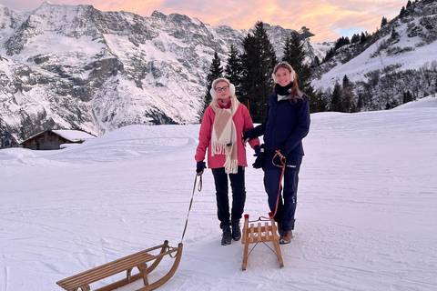 Interlaken: Sunset Sledding Adventure & Swiss Cheese Fondue Interlaken: Sunset Sledding & Fondue Dinner in Mürren