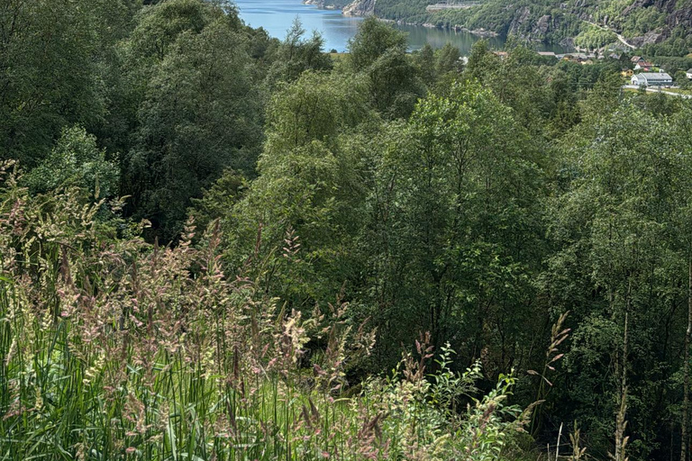 Lysefjord: The Viking's Fjord Path Ultimate Adventure