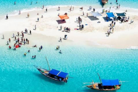 Zanzibar: Prywatne safari Pungume z piknikiem BlueZanzibar: Prywatne safari Pungume z niebieskim piknikiem