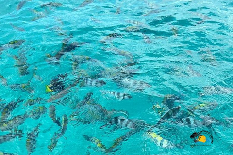 From Nungwi/Kendwa: Safari Blue Trip with Lunch & Sandbank