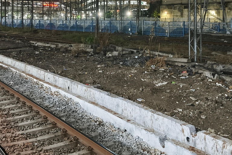 Discover Mumbai Express: Half-Day City Adventure