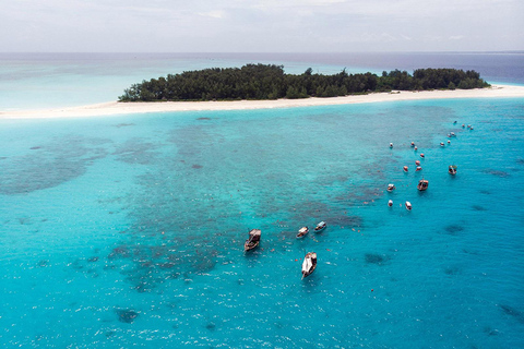 Zanzibar: Snorkeling sull&#039;isola di Mnemba e avventura con i delfini