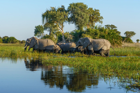 Botswana: Savuti, Khwai, & Moremi 7-Day Mobile Safari