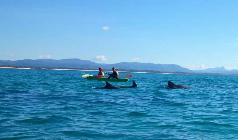 Home - Kayak Tours Byron Bay