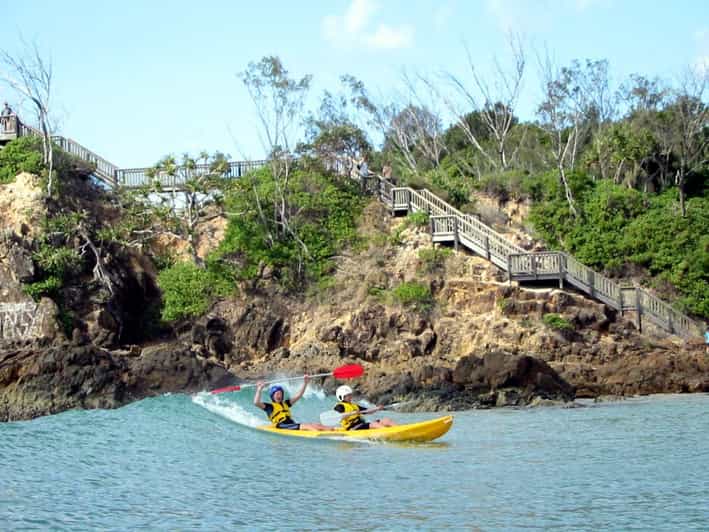 Byron Bay Kayak with Dolphins Tour GetYourGuide