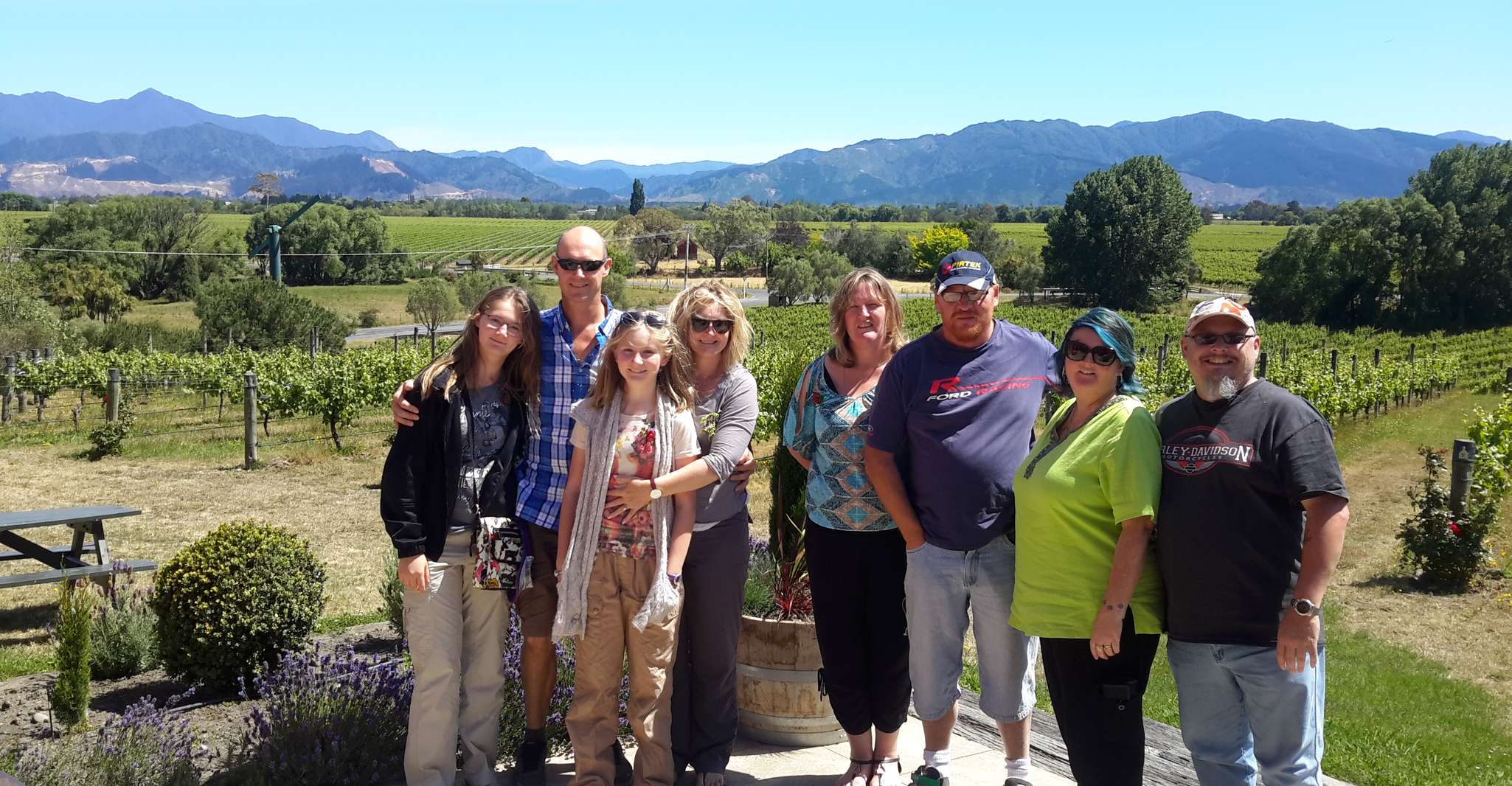 Marlborough Half-Day Wine Tour from Blenheim - Housity