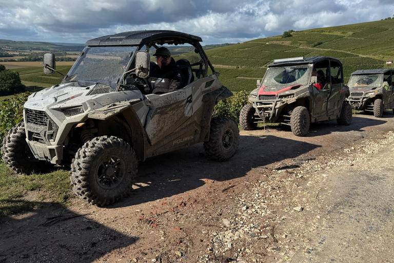 Champagne vineyards: 2-hour guided tour of the vineyards in a Buggy
