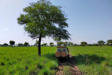 Uganda: 3 Days Exploring Pian Upe Wildlife Reserve