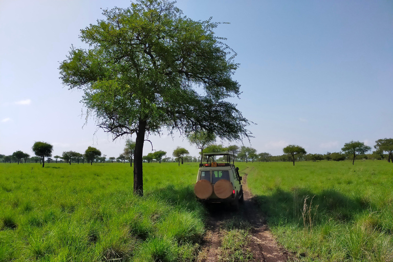 Uganda: 3 Days Exploring Pian Upe Wildlife Reserve