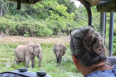 Desde Ella : Excursión al Parque Nacional de Yala 4*4 con Safari en Leopardo