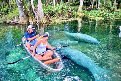 Silver Springs: Manatees, Monkeys, and Natural Spring Tour Manatees, Monkeys and Florida Natural Spring Clear Kayak