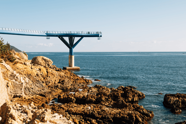 Busan : pour les passagers de croisière, visite en voiture privéeBusan : Visite en voiture privée pour les passagers de croisière