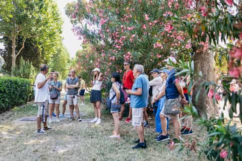 From Naples: Pompeii Ruins & Mount Vesuvius Day Tour