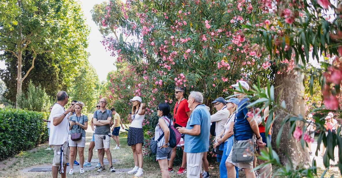 Afbeelding 27 van Vanuit Napels: Pompeii ruïnes & Mount Vesuvius Dagtour