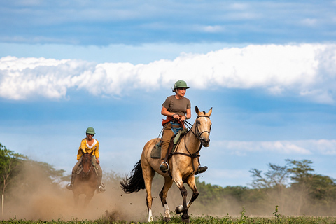 From Arusha: Arusha National Park Horseback Safari
