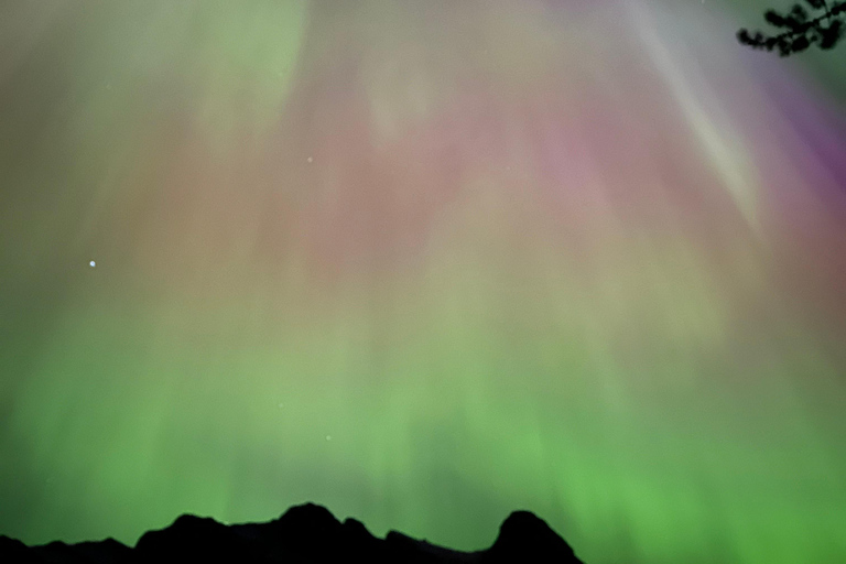 Banff Night Sky: Northern Lights and/or Stargazing Tour