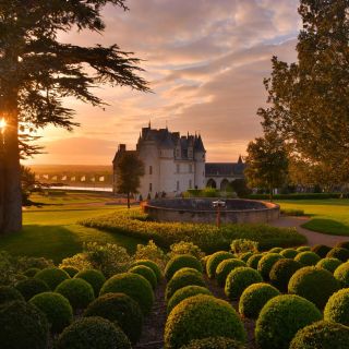 Exclusive Wine Day Trip Loire Valley from Paris