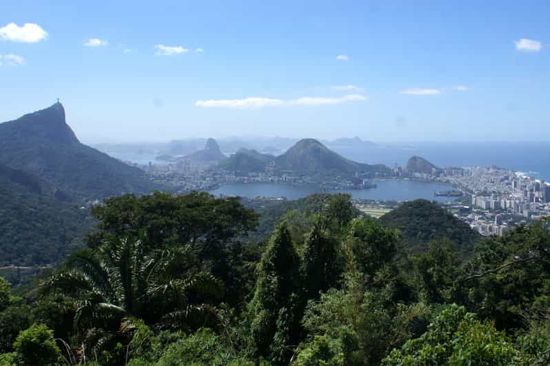 Bosque de la Tijuca tour desde Río de Janeiro GetYourGuide