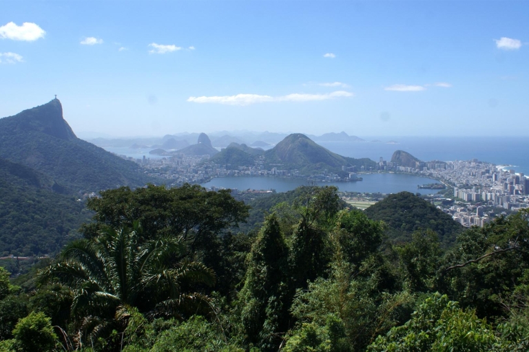 Ab Rio de Janeiro: Tijuca-Regenwald-Tour im JeepPrivate Tour
