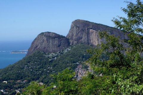 Z Rio: Wycieczka jeepem do lasu deszczowego TijucaWycieczka prywatna