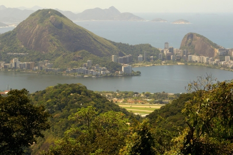 Z Rio: Wycieczka jeepem do lasu deszczowego TijucaWycieczka prywatna