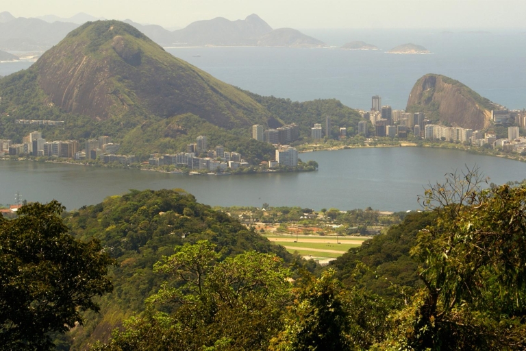 Tijuca Rain Forest Tour by Jeep from Rio de Janeiro Private Tour