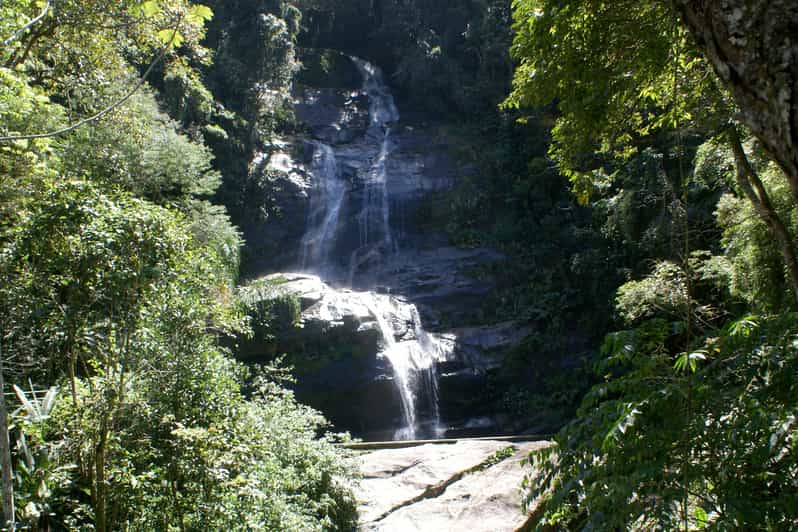 Bosque de la Tijuca tour desde Río de Janeiro GetYourGuide