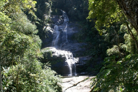 Tijuca Rain Forest Tour by Jeep from Rio de Janeiro Private Tour