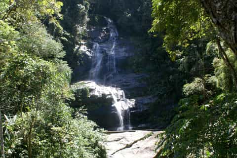 Tijuca Rain Forest Tour by Jeep from Rio de Janeiro