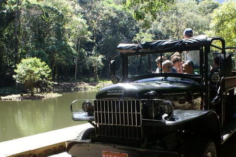 Tijuca Rain Forest Tour by Jeep from Rio de Janeiro