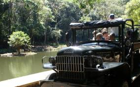 Tijuca Rain Forest Tour by Jeep from Rio de Janeiro