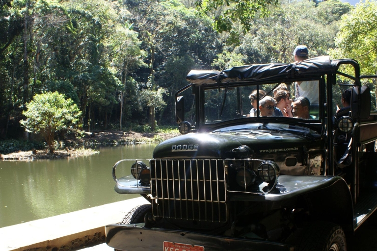 Ab Rio de Janeiro: Tijuca-Regenwald-Tour im JeepPrivate Tour