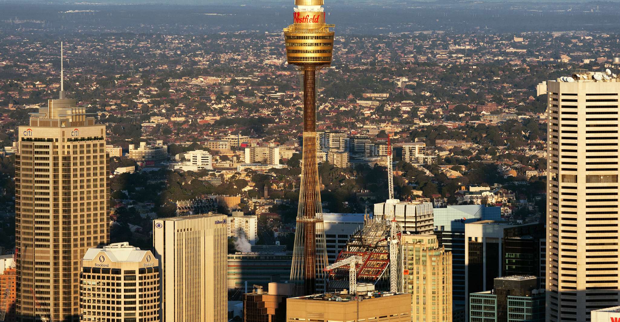 Skywalk al Sydney Tower Eye, Biglietto & Tour - Hizvo