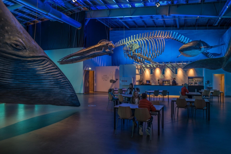 Reykjavík: Ticket für die Ausstellung „Die Wale Islands“