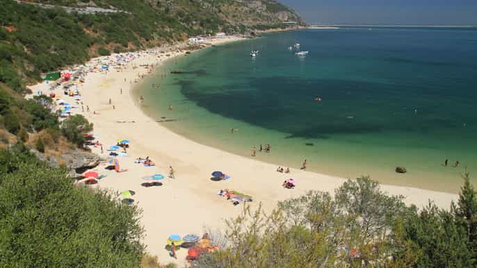 lisbona tour privato di unintera giornata nella regione vinicola di arrábida e azeitão