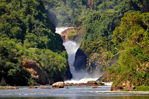 Uganda: 7-Day Murchison Falls, Kidepo Valley &amp; Jinja Safari