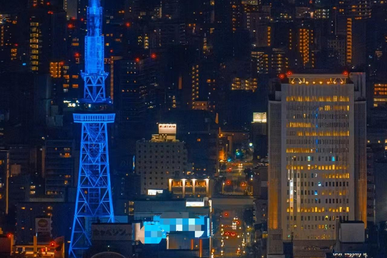 Nagoya Shore Excursion: Castle & Traditional Garden Day Tour