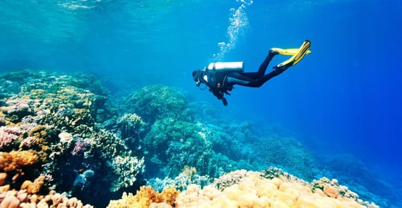 Bali: Nusa Dua Scuba Diving at Coral Garden & Jet Ski