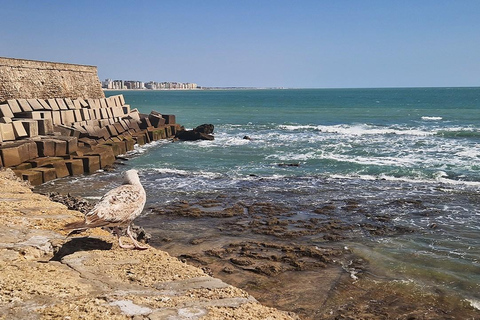 De Cádiz al Puerto de Santa María en barco desde el marTour en inglés, Tour en español