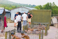 Phu Quoc, Pearl Farm, Coconut Prison, and Bai Sao Beach Tour - Housity
