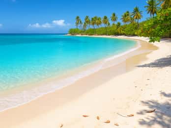 Puerto Rico: Heldags strandtur med matsmaking