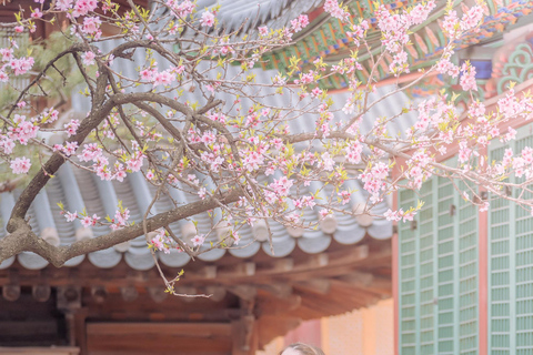 Seoul: Premium Hanbok Photo in Seoul by Sony Award Pro