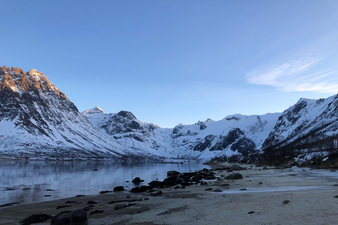 Tromsø: Fjorden &amp; Stranden Tour met kampvuur en foto&#039;s